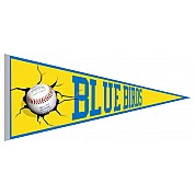 Pennant blu degli uccelli