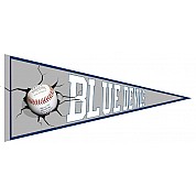 Pennant dei Blue Devils