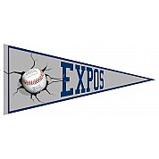 Espoo Expos Pennant