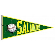 Salamandres le Havre Pennant