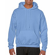 Hoodie: Carolina Blue