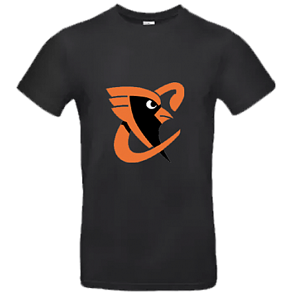 Felpa con cappuccio Cardinals Oss: Nero