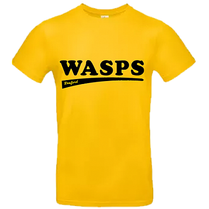 Felpa con cappuccio Romford Wasps