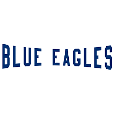 Ricklingen Blue Eagles Fans