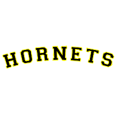 Bad Homburg Hornets Fans