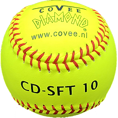 CD-SFT-10 Safety (€5,00)