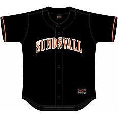 Zanzare di Sundsvall
