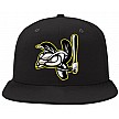 Romford Wasps Pet