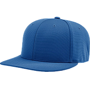 Pet, Stretch Fitted Covee Cap