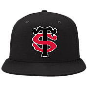 Stade Toulousain Pet