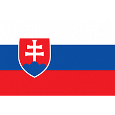 Slovenian Clubs