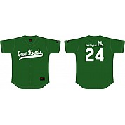 Maglia Verde Hornets, maglia con retro piatto