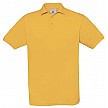 Polo, Geel
