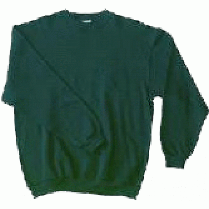 Sweater, Green