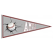 AMVJ Pennant