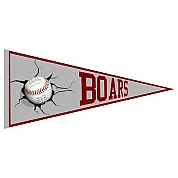 Baldham Boars Vaantje