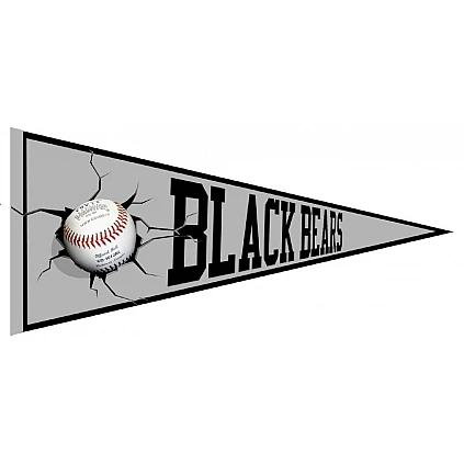 Pennant degli Orsi Neri