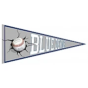 Pennant dei Blue Devils