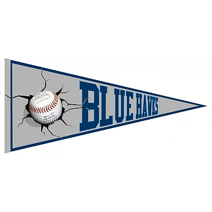 Blue Hawks Vaantje
