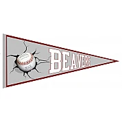 Pennant di Broxtowe Beavers