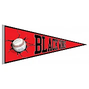 Hanau Blackwings Pennant