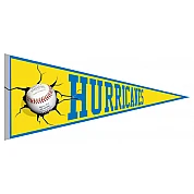 Pennant degli Hurricanes