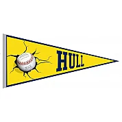 Hull Scorpions Pennant