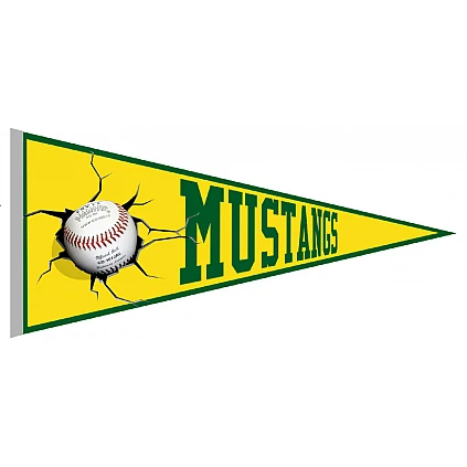 Mustangs Venlo Pennant