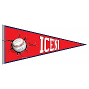 Norwich Iceni Pennant