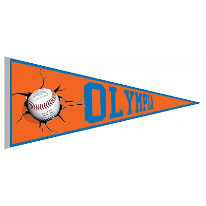 Olympia Haarlem Pennant