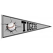 SCS Tigers Vaantje