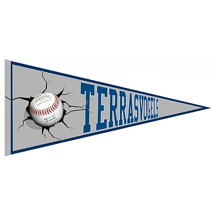 Terrasvogels Softbal Vaantje