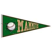 Pennant dei Mammut di Yverdon