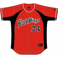 Hanau Blackwings Team