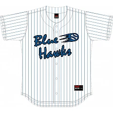 Blue Hawks