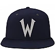 Cappello Odense Wolves