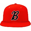 Badgers de Besancon Pet