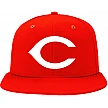 Red Castors Pet