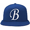 Brawlers Cap