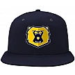 Sheffield Bruins  Cap