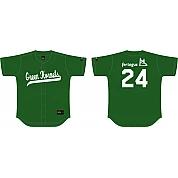 Green Hornets Shirt, Flatback Mesh