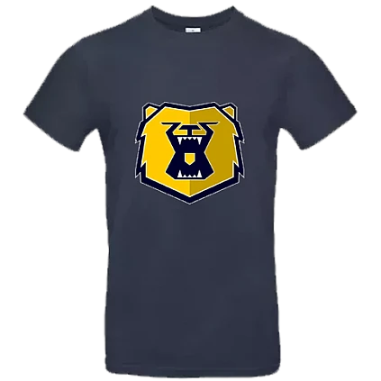 Felpa con cappuccio Sheffield Bruins