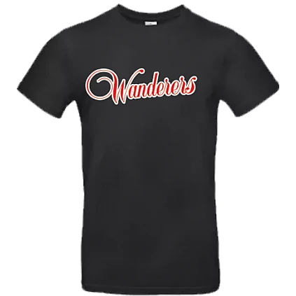 Felpa con cappuccio Dortmund Wanderers