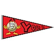 Design your own Pennant