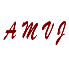 AMVJ Fans