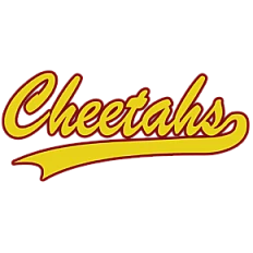 Cheetahs Fans