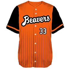 Bargenstedt Beavers