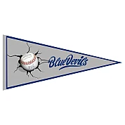 Pennant degli Blue Devils