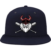 Carinthian Celts Pet