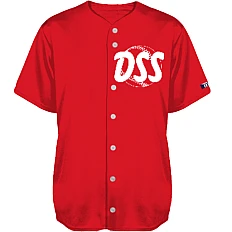 DSS Haarlem
